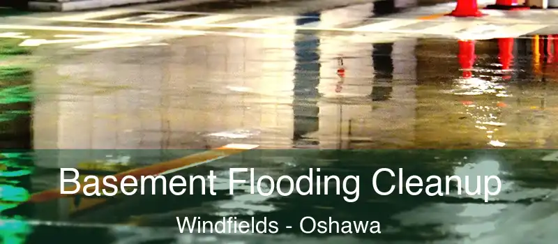  Basement Flooding Cleanup Windfields - Oshawa