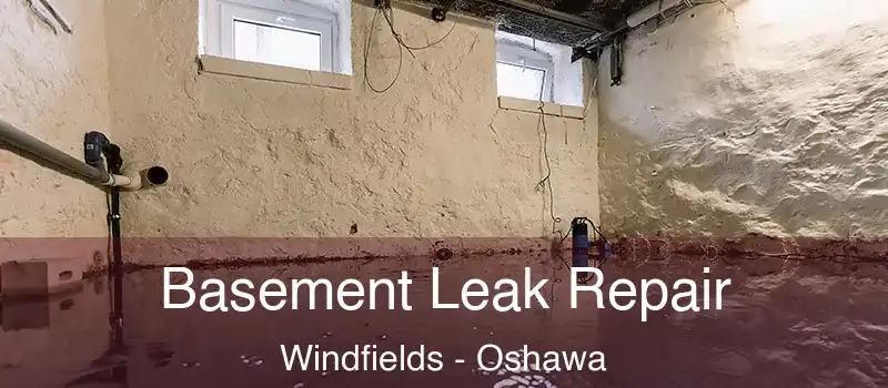  Basement Leak Repair Windfields - Oshawa