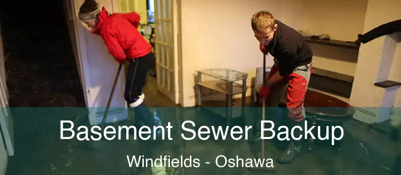  Basement Sewer Backup Windfields - Oshawa