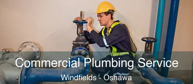  Commercial Plumbing Service Windfields - Oshawa