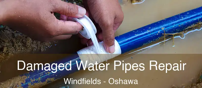  Damaged Water Pipes Repair Windfields - Oshawa