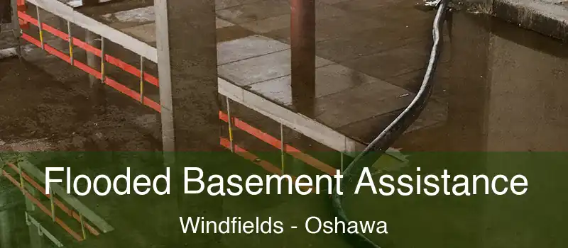  Flooded Basement Assistance Windfields - Oshawa