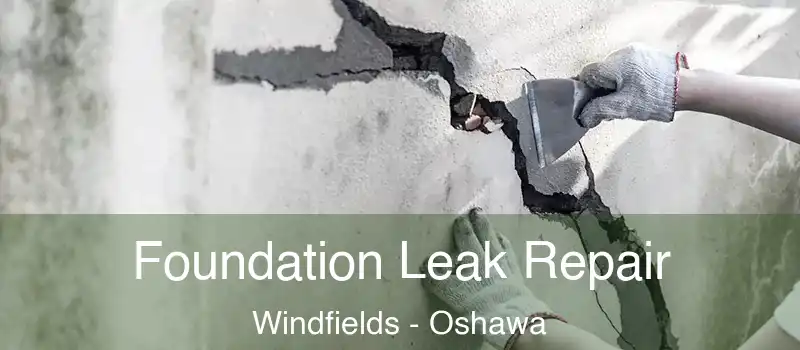  Foundation Leak Repair Windfields - Oshawa