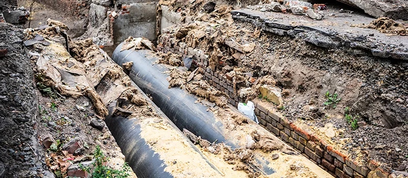 Commercial Sewer Tree Roots Damage Solutions in Windfields, Oshawa
