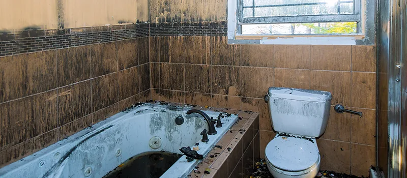 Residential Water Damage Restoration in Windfields, Oshawa