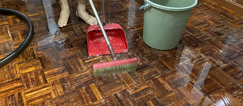 Water Removal And Restoration Services in Windfields, Oshawa