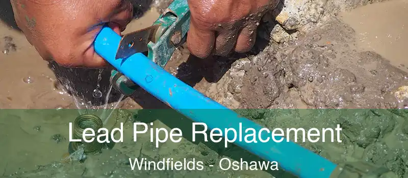  Lead Pipe Replacement Windfields - Oshawa