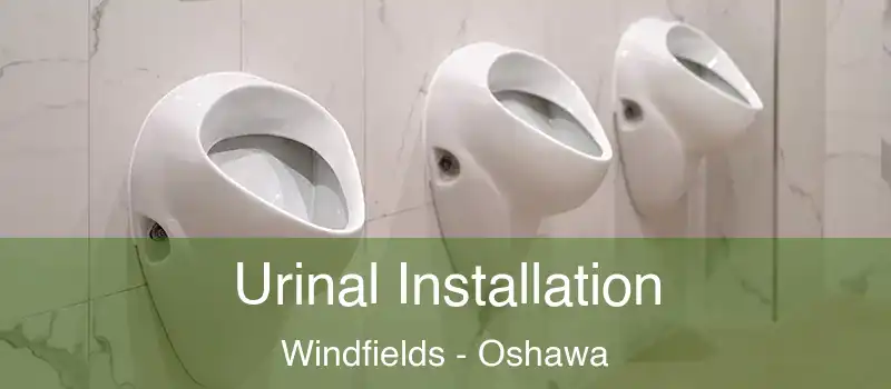  Urinal Installation Windfields - Oshawa