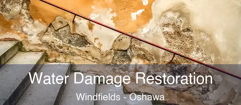  Water Damage Restoration Windfields - Oshawa
