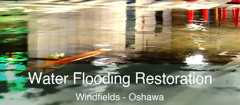  Water Flooding Restoration Windfields - Oshawa