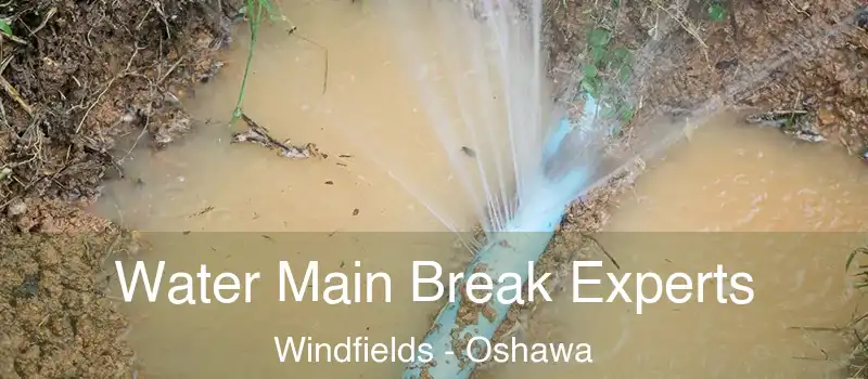  Water Main Break Experts Windfields - Oshawa