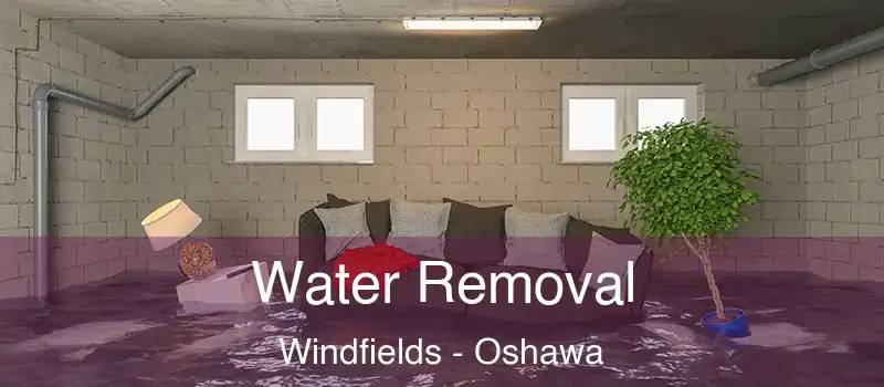  Water Removal Windfields - Oshawa